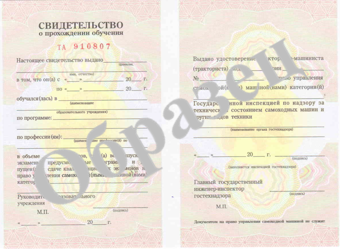 Сертификат установленного образца о прохождении обучения